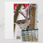 Mockingvogel Briefpapier (Vorne/Hinten)