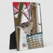 Mockingvogel Fotoplatte (Seite)