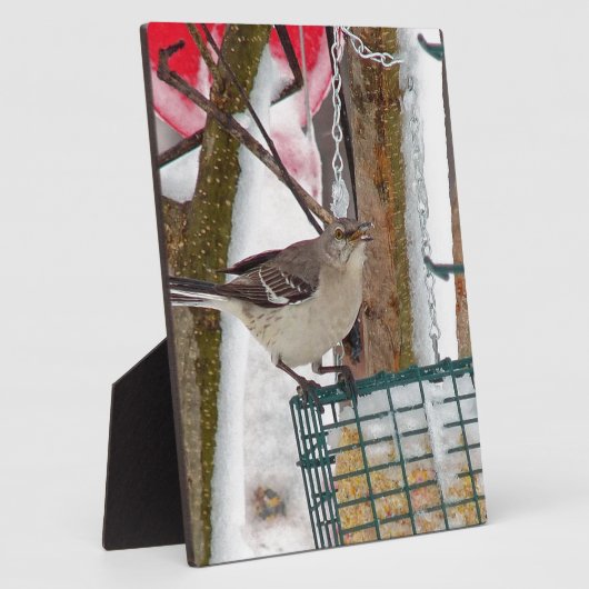 Mockingvogel Fotoplatte (Seite)