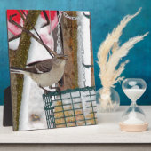 Mockingvogel Fotoplatte (Seite)