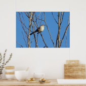 Mockingvogel II Poster (Küche)