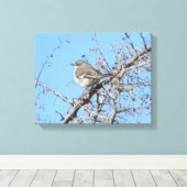 Mockingvogel Leinwanddruck (Insitu (Holzboden))