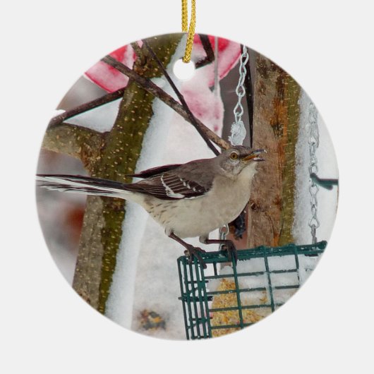 Mockingvogel Ornament (Vorne)