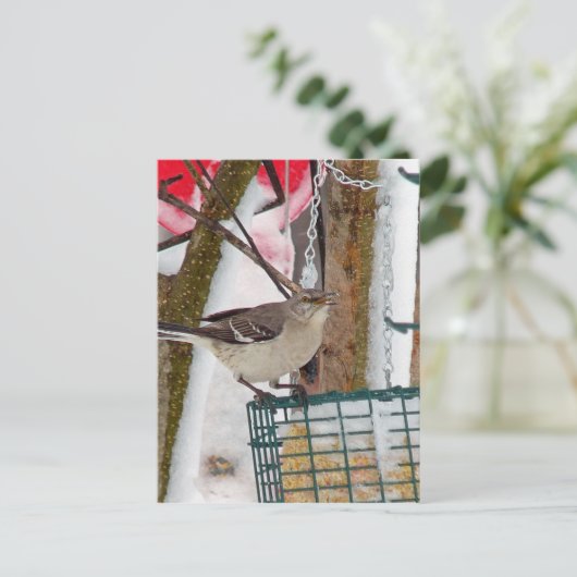 Mockingvogel Postkarte (Stehend Vorderseite)