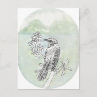 Mockingvogel Postkarte
