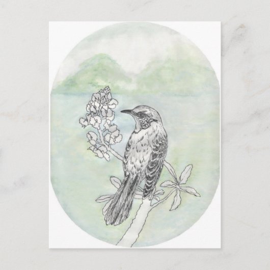 Mockingvogel Postkarte (Vorderseite)