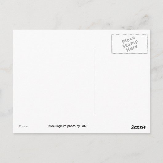 Mockingvogel Postkarte (Rückseite)