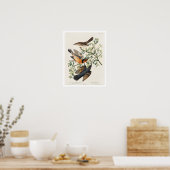Mockvogel und Varieté von Audubon Poster (Küche)