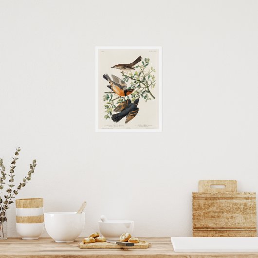 Mockvogel und Varieté von Audubon Poster (Küche)
