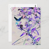 Mod Butterfly - Postkarte (Vorne/Hinten)
