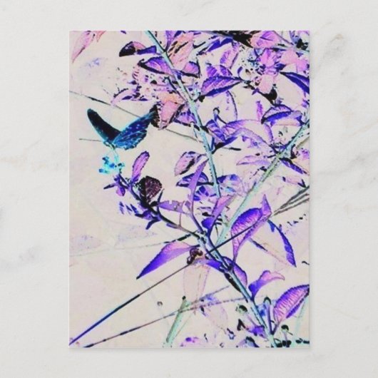 Mod Butterfly - Postkarte (Vorderseite)