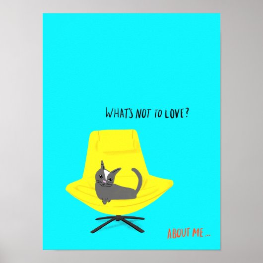 Mod Cats - Was ist nicht zu Liebe? Poster (Vorne)