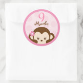 Mod Girl Monkey Monthly Meilensteine Stickers (Tasche)