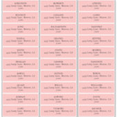 MOD PINK TULIP WEDD Address Labels (Vorderseite)