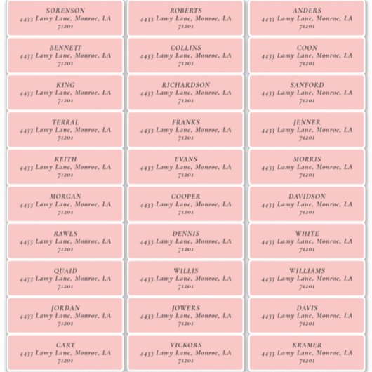 MOD PINK TULIP WEDD Address Labels (Vorderseite)