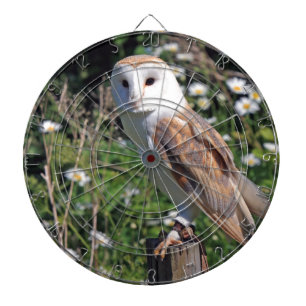 Modchic-noble Schicksals-Eule Dartscheibe