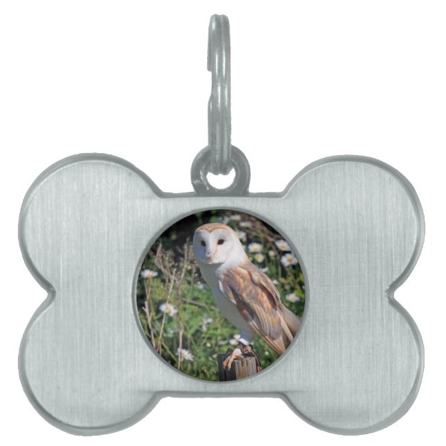 Modchic-noble Schicksals-Eule Tiermarke (Vorderseite)