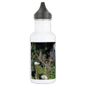 Modchic-noble Schicksals-Eule Trinkflasche (Links)