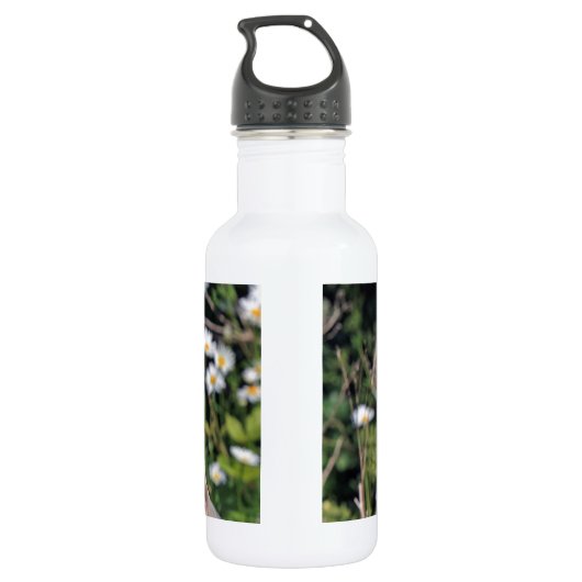 Modchic-noble Schicksals-Eule Trinkflasche (Rückseite)