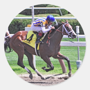 Mode-Alarm gewinnt das Schuylerville Runder Aufkleber