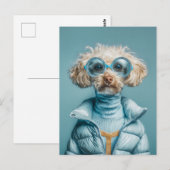 Modehund in blauem Outfit Postkarte (Vorne/Hinten)