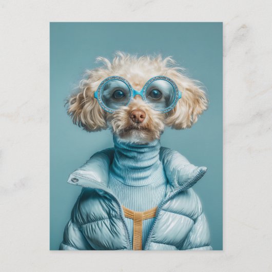 Modehund in blauem Outfit Postkarte (Vorderseite)