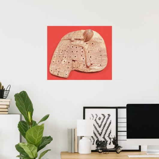 Model of a sheep's liver poster (Heimbüro)