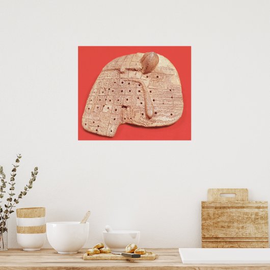 Model of a sheep's liver poster (Küche)