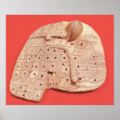 Model of a sheep's liver poster (Vorne)