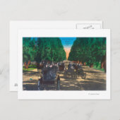 Model-T-Fords auf der Kearney AvenueFresno, CA Postkarte (Vorne/Hinten)