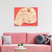 Modell der Schafsleber Leinwanddruck (Insitu (Wohnzimmer))