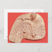 Modell der Schafsleber Postkarte (Vorne/Hinten)