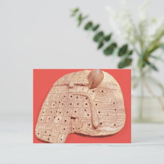 Modell der Schafsleber Postkarte (Stehend Vorderseite)