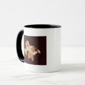 Modell eines Chariot, 2000-1595 BC Tasse (Vorderseite Links)