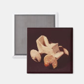 Modell eines Streitwagens, 2000-1595 v. Chr. Magnet (Vorderseite/Rückseite)