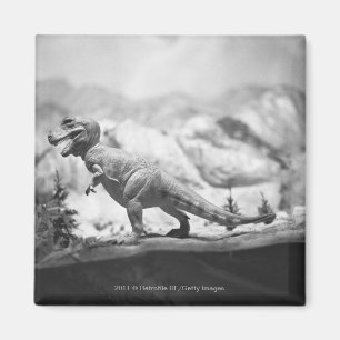 Modell von Tyrannosaurus rex B&W Magnet