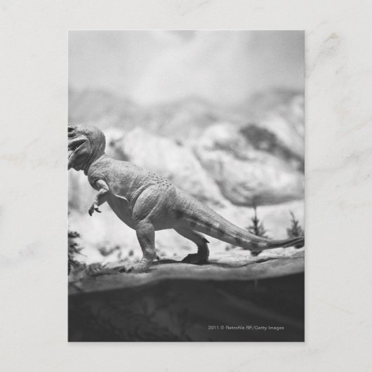Modell von Tyrannosaurus rex B&W Postkarte (Vorderseite)