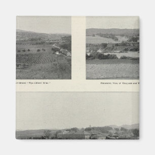 Modellweine, Kalifornien Magnet