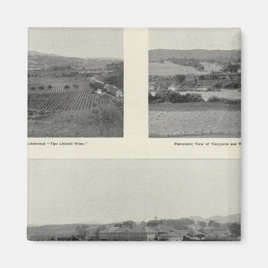 Modellweine, Kalifornien Magnet (Vorne)