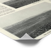 Modellweine, Kalifornien Poster (Ecke)