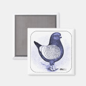 Modena Argent Magnet (Vorderseite/Rückseite)