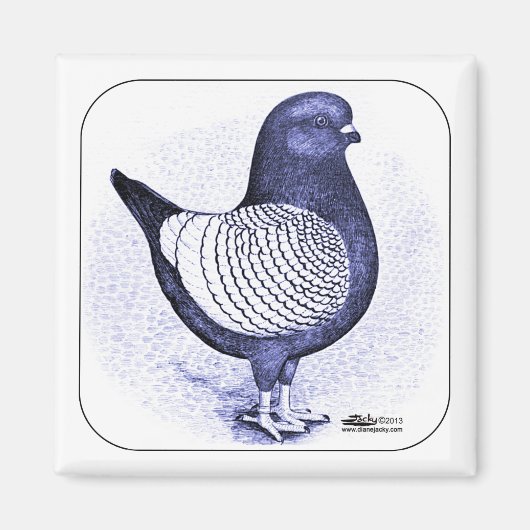 Modena Argent Magnet (Vorne)