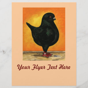 Modena Black Schietti Flyer