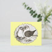 Modena Gazzi Pigeons Postkarte (Stehend Vorderseite)