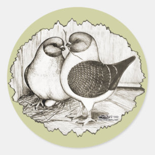 Modena Gazzi Pigeons Runder Aufkleber