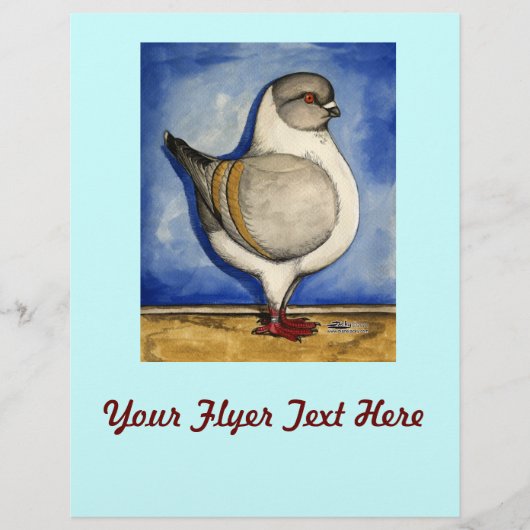 Modena Silver Gazzi Flyer (Vorne)