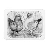 Modenas Two Magnet (Horizontal)