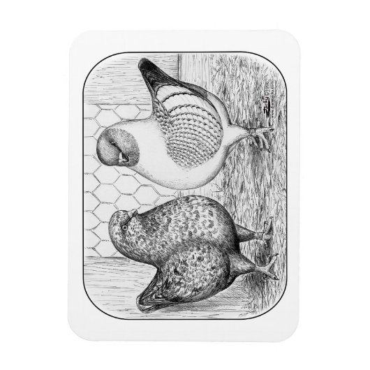 Modenas Two Magnet (Vertikal)