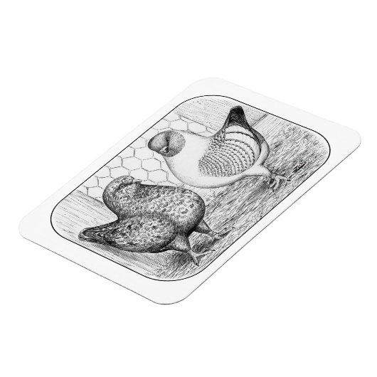 Modenas Two Magnet (Linke Seite)