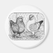 Modenas Two Magnet (Vorne)